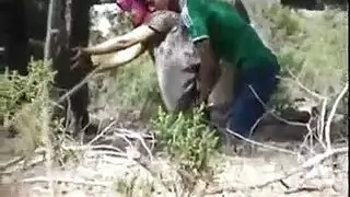 جنس صريح في المطبخ: زيارة مفاجئة من سيدة ناضجة للزوجين