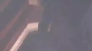 العضو التناسلي يستمني