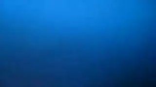 الاباحية الحارة احححح
