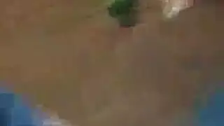 لحس بلسانين امام الجمع