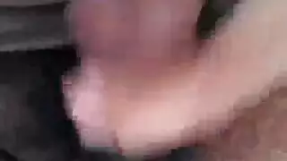 تمام من زب حمار